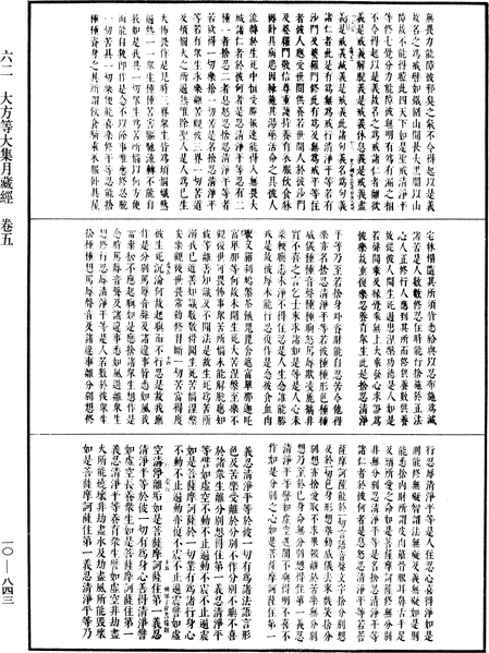 File:《中華大藏經》 第10冊 第843頁.png