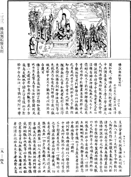 File:《中華大藏經》 第19冊 第049頁.png