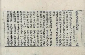 高麗藏K1036 龍樹菩薩勸誡王頌 1卷.djvu