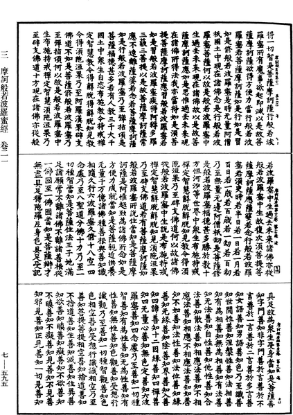 File:《中華大藏經》 第7冊 第0595頁.png