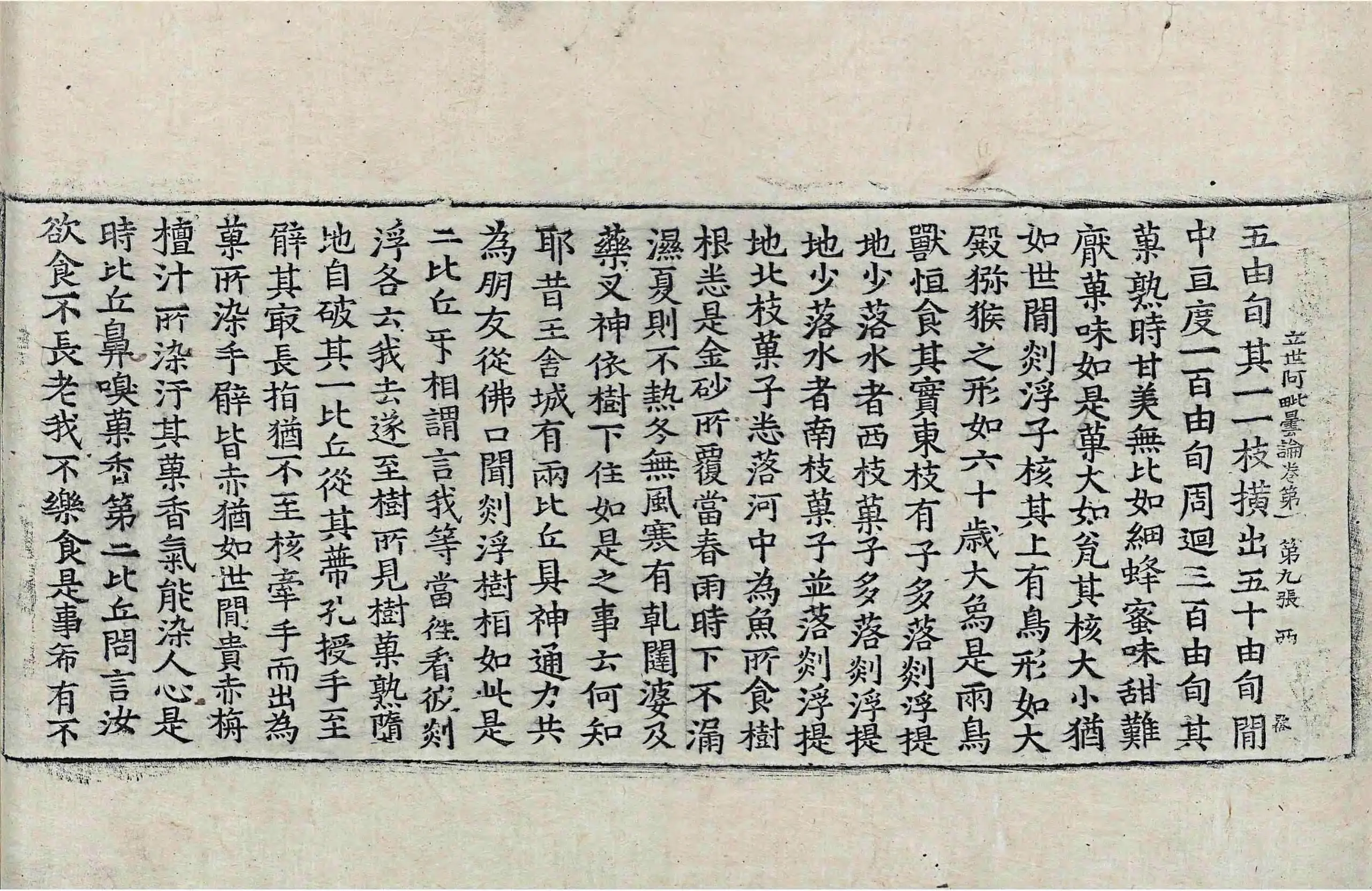 File:高麗藏K0967 佛說立世阿毘曇論 10卷.djvu