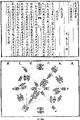 2024年6月8日 (六) 14:48版本的缩略图