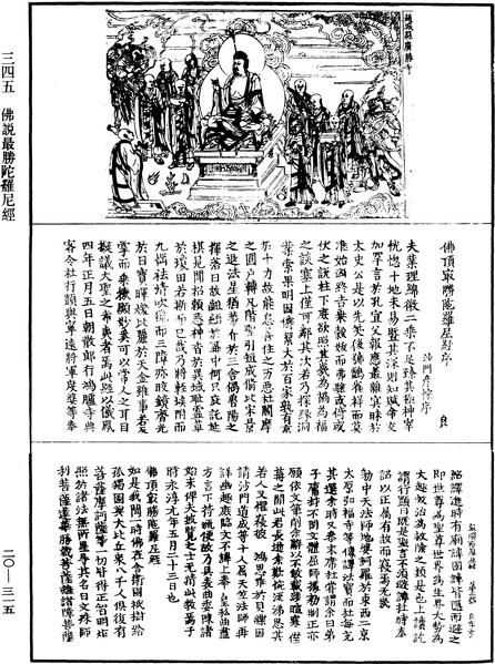 File:《中華大藏經》 第20冊 第0315頁.png