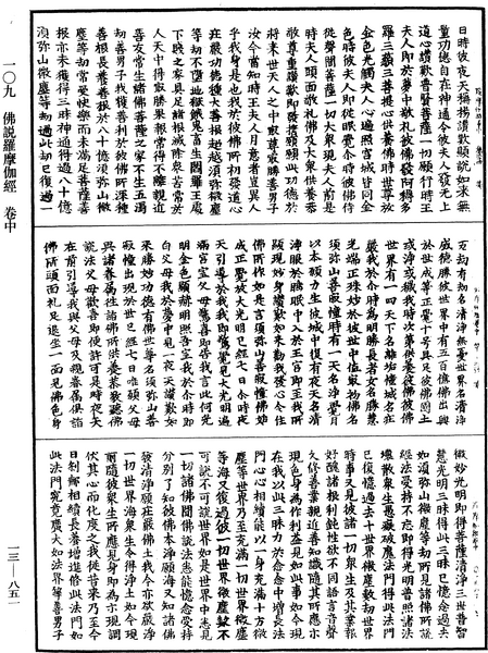 File:《中華大藏經》 第13冊 第851頁.png